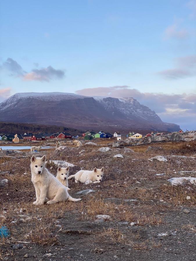 Hotel Disko Island Qeqertarsuaq Extérieur photo